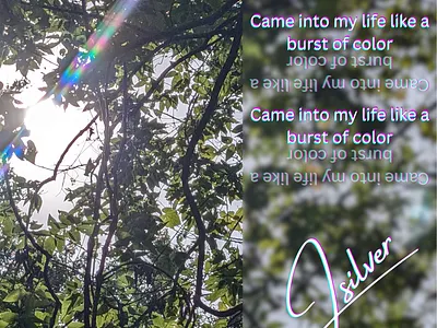 Social Post branding marketing photography social media