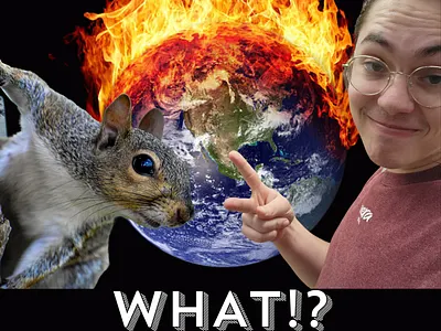 WHAT Announcement poster branding design graphic design poster social media