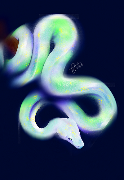 Snake-01-蛇蛇🐍 animal graphic design green illustration nature night snake vectorart