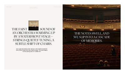 Treatment | presentation design for a director branding corporate website design design site figma graphic design landing page presentation treatment ui ui design ux design ux ui web design