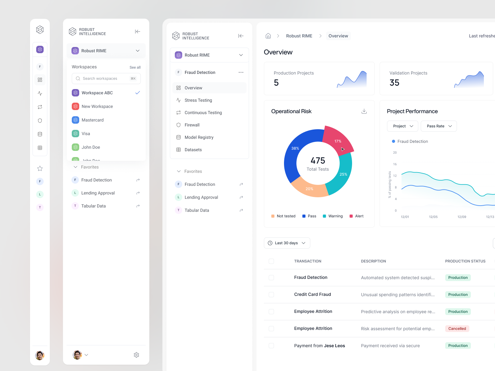 Example of Robust Inteligence Platform