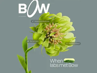 BOW - Botanical Medicine & Herbal Extracts Website Concept bow creative design flower illustration innovation landing page modern natural health nature organic pharmaceutical science ui design ux design uxui vibrant colors web design well being wellness
