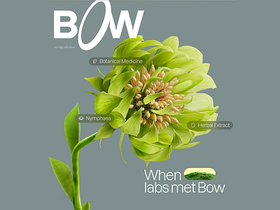 BOW - Botanical Medicine & Herbal Extracts Website Concept bow creative design flower illustration innovation landing page modern natural health nature organic pharmaceutical science ui design ux design uxui vibrant colors web design well being wellness