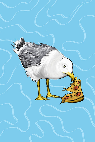 Seagull design digital art digital painting graphic design illustration illustrator photoshop poster
