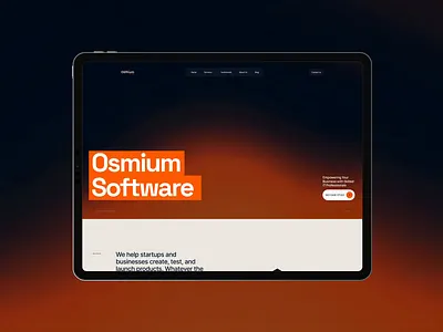 OSMIUM logo ui ux web design webdesign