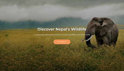 Wildlife Safari Reservation 3d animation graphic design motion graphics ui