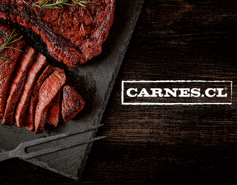 CARNES.CL | Banners Design desarollo web design web diseño web graphic design sitio web web web design website
