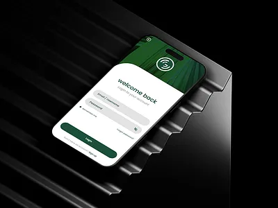 Login & Signup App graphic design ui