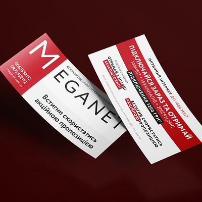 Meganet DL flyer design dl flyer graphic design polygraphy