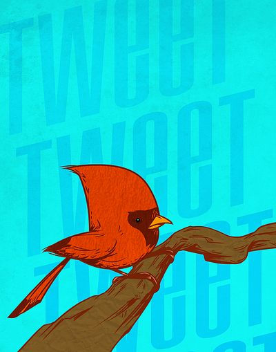 RED ROBIN adobe photoshop adobe suite animals art artwork bird birds cardinal cartoon cartoon art digital digital art graphic graphic art graphic design illustration photoshop procreate red robin robin