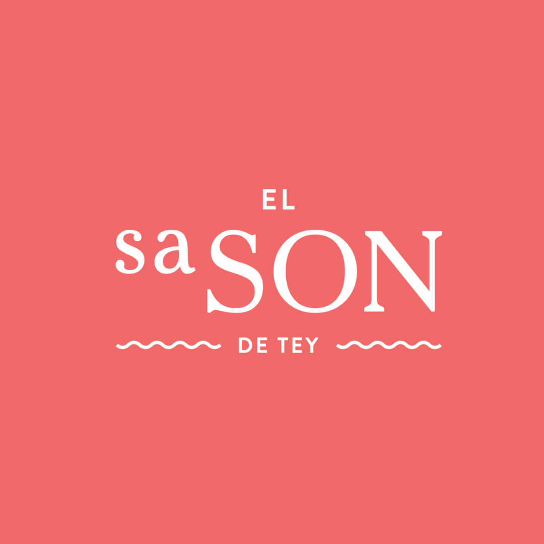 el sa SON Logo Animation after effects animated logo intro logo animation logo reveal motion design motion graphics reveal youtube intro