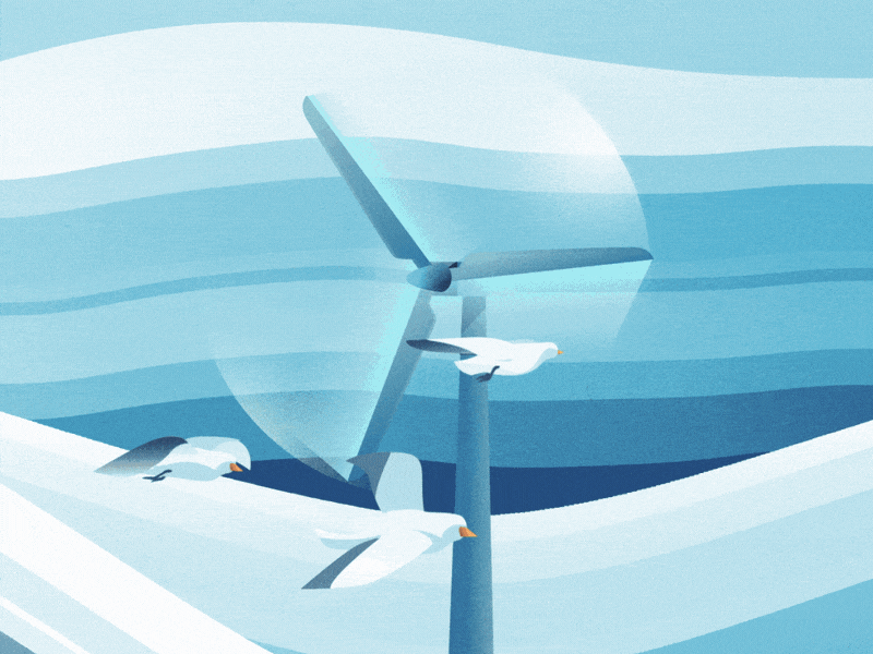 Wind energy 2d aftereffects animation birds eco eko electricity energy fishes sea waves wind