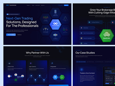 Fintech Website Design b2b bento grid bitcoin crypto design financial website fintech illustration infographic it company landing page money saas trading ui ux web design web designer website