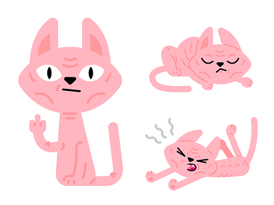Wrinkle animal cartoon cat character digital flat freak fun funny graphic design icon illustration kitty logo mascot pet pink silly sphynx vector