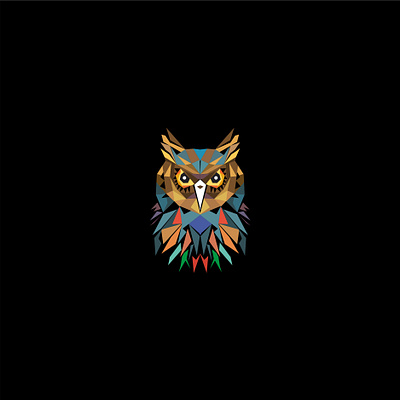 owl abstract logo abstract art bird black branding colorful design graphic design icon illustration logo ui vector wise