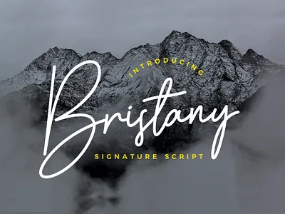 Bristany Signature Font By Multype Studio branding design font fonts logo script font typedesign typeface