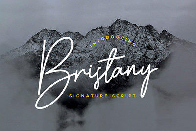 Bristany Signature Font By Multype Studio branding design font fonts logo script font typedesign typeface