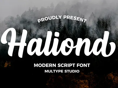 Haliond Modern Script By Multype Studio branding design font fonts logo script font typedesign typeface