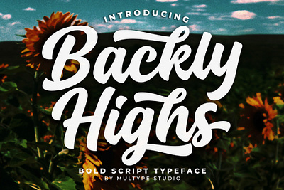 Backly Highs Bold Script Font By Multype Studio branding design font fonts logo script font typedesign typeface