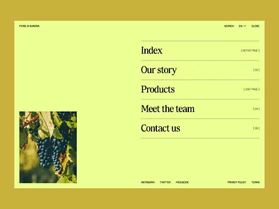 Fiore di Aurora - Minimalist & Clear Navigation control panel design digital concept digital website inspire minimalism modern ui ui design ux ux design ux ui vibrant web design website website options yellow yellow backgorund