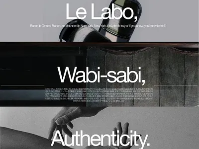 Various Works for Student Sentinel graphic design