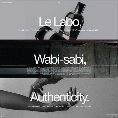 Various Works for Student Sentinel graphic design