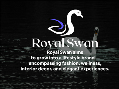 Royal Swan Logo branding graphic design logo logo design modern logo r logo royal swan logo