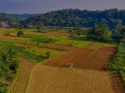 AGRICULTURE POSTER 3d agriculture poster animation branding graphic design motion graphics