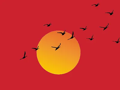sunset bird branding cartoon design graphic design logo