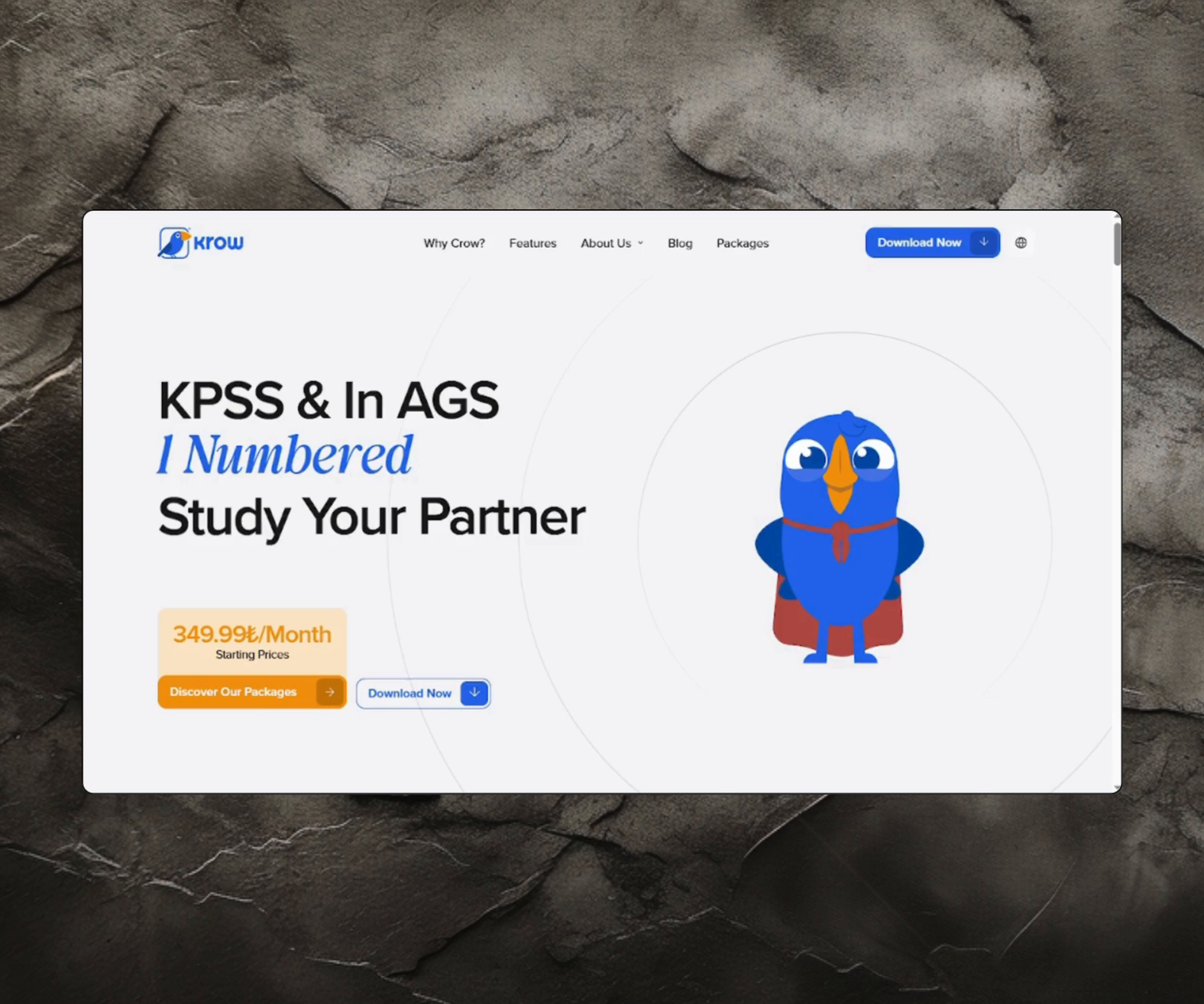 Example of Migrate Word Press To Framer