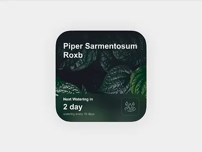 Watering Reminder Assistant animation badges design icon illustration plant ui ux widget
