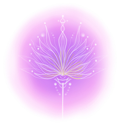 Lotus Flower digital design flower graphic design illustration lotus lotus flower pink procreate purple silhouette sketch