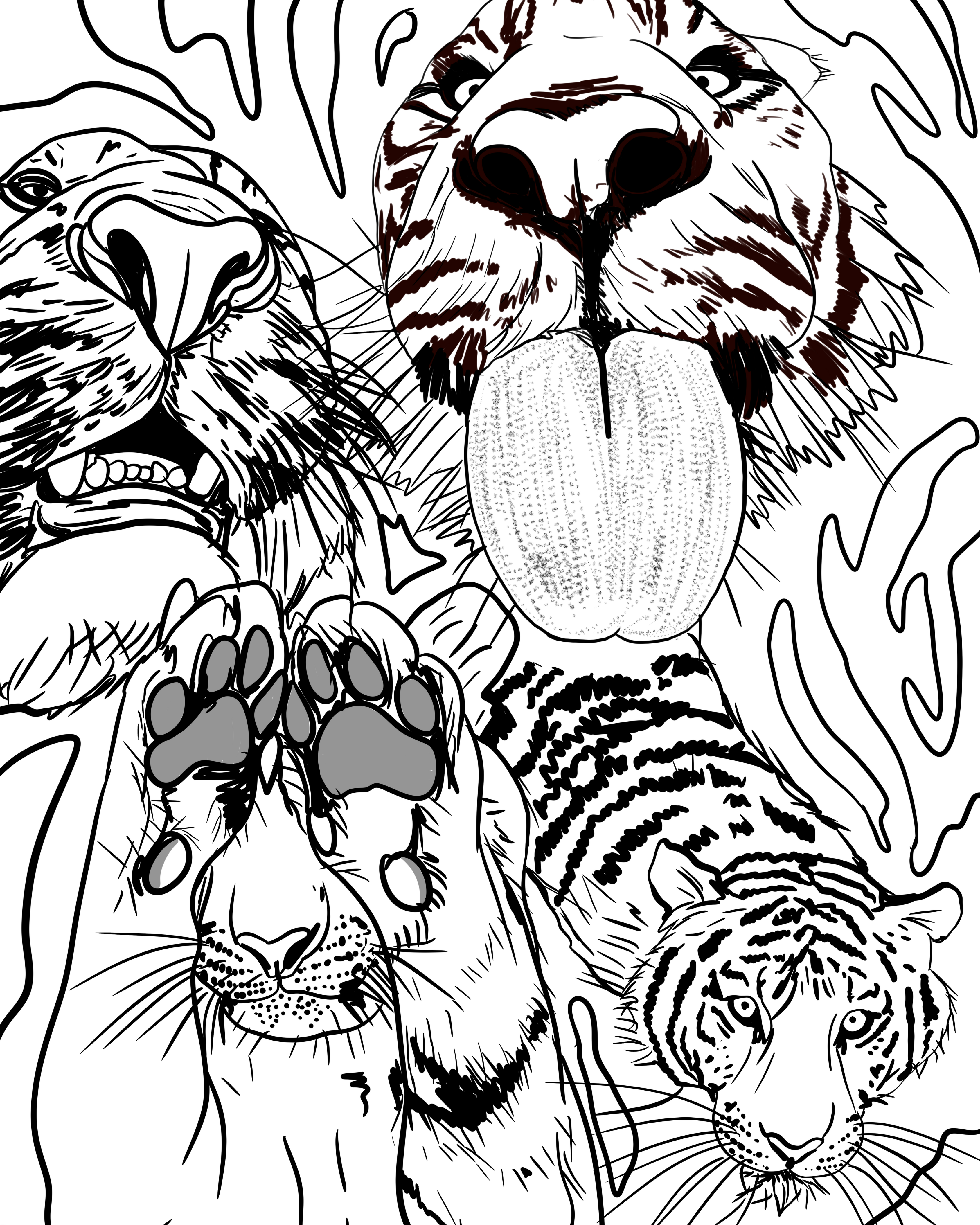 Nature in the wild Illustrations blackandwhite digital art giraffes illustration leopards lineart nature nature illustration pattern procreate