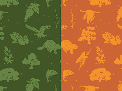 City of Corvallis pattern development branding graphic design illustration pattern