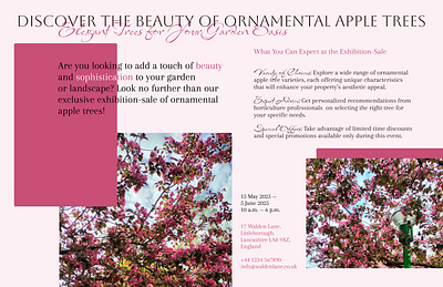 Advertising Flyer for Apple Trees Exhibition banner branding design graphic design photography typography ui