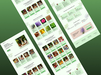 Сайт авторских диффузоров Ethereal arts app branding design graphic design illustration logo typography ui ux диффузор