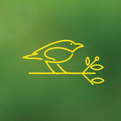 BirdLine brand brand design brand identity branding branding design design graphic design illustration logo