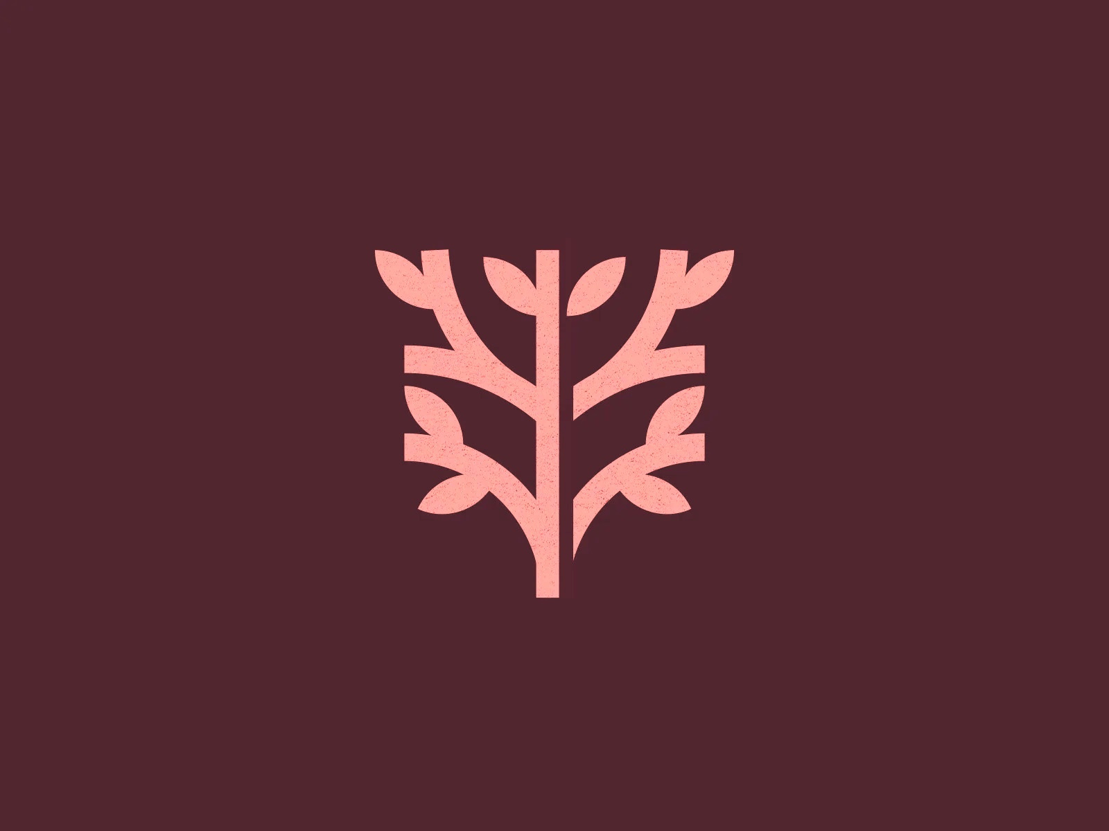 Example of Little Tree
