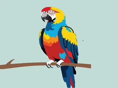 Parrot Art adobe illustator animation art branding cartoon character clean drawing flat forest graphic design nature parrort simple ui design user experiance user interface ux design wood