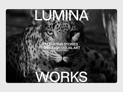 LUMINA WORKS: Visual Art Studio Branding art direction black and white brand identity branding branding identity color contrast creative design leopard logo logo design photography storytelling typography visual art visual identity