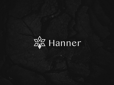 Hanner brand branding design graphic design icon illustration logo typography vector