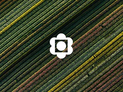 Unused Logo — Bloom brand brand identity branding logo logo design logo designer logo identity