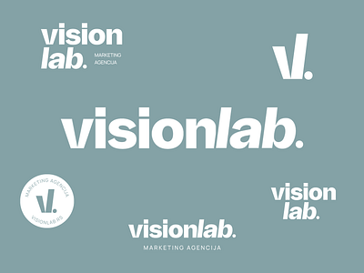Visual identity for VisionLab adobe illustrator adobe photoshop brand identity branding design graphic design graphic designer logo