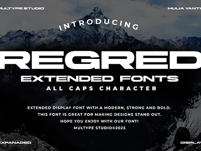 Regred Extended Font By Multype Studio extendedfonts