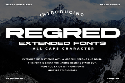 Regred Extended Font By Multype Studio extendedfonts