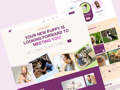 Pet Adoption Website animal animal love branding cat colorful dog full page home page landing page modern pet pet adoption website pet care simple ui ux webflow wordpress