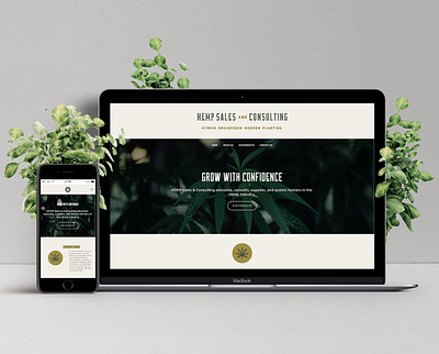 Branding, Print & Website Design - HEMP Consulting