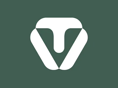 Tara Verne brand design branding logo logo design wordmark