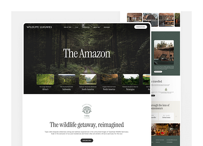 WildlLife logo ui