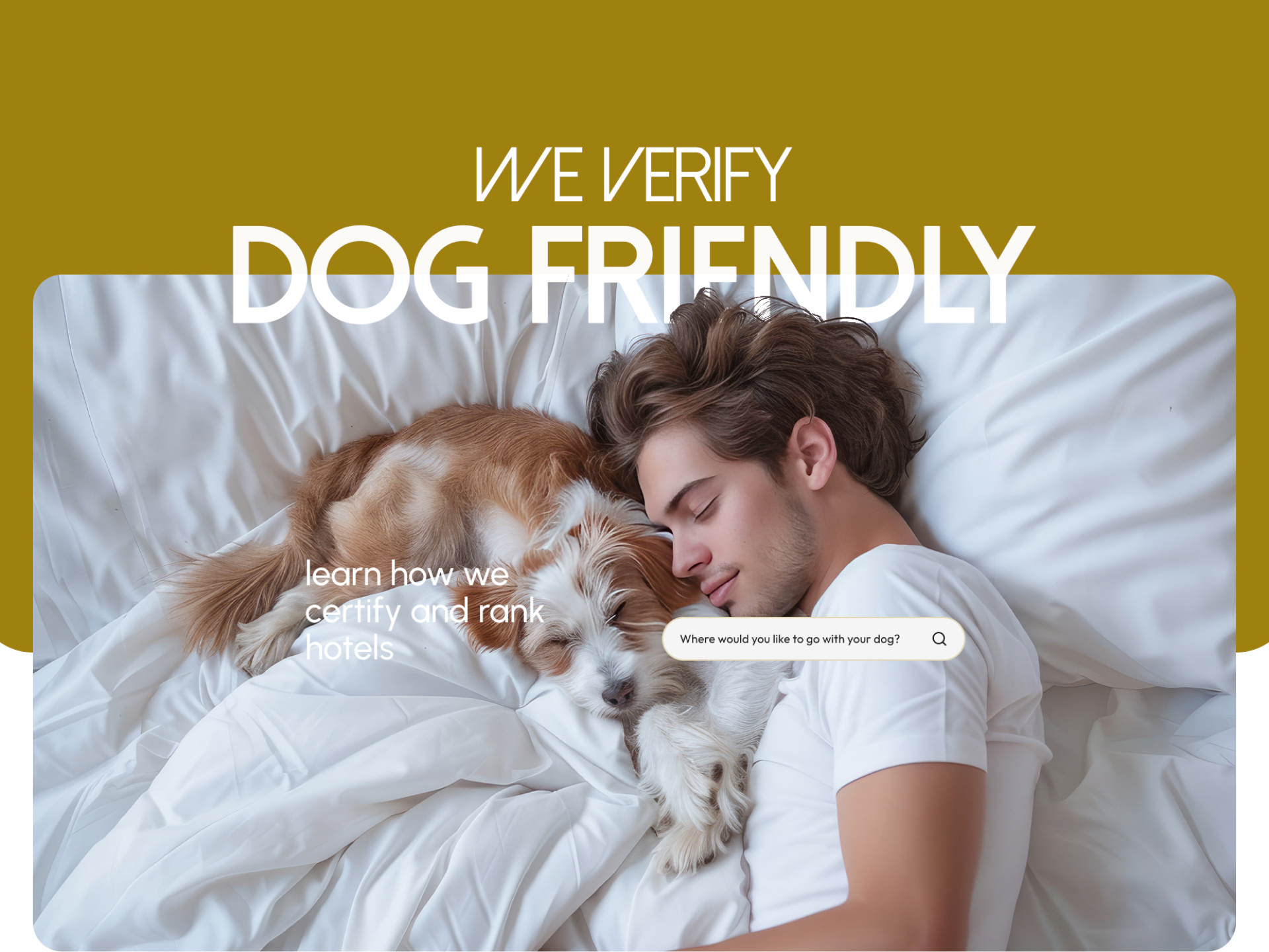 RochDog.com – The World’s First Dog-Friendly Hotel Standard & Ce aitraveltech branding certificationdesign dogfriendlystandard elegantdesign homepageredesign hoteldirectory logo luxurytravel modernui motion graphics petfriendlyhotels responsivewebdesign rochdog ui uiux uxcasestudy webdesign